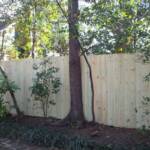 Fence cut  around tree